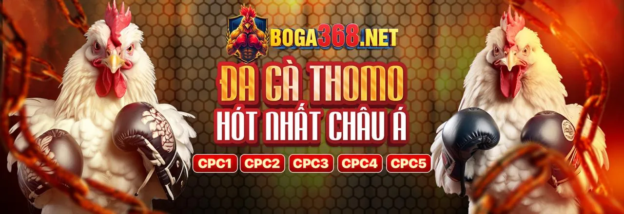 Đá gà trực tuyến SP8